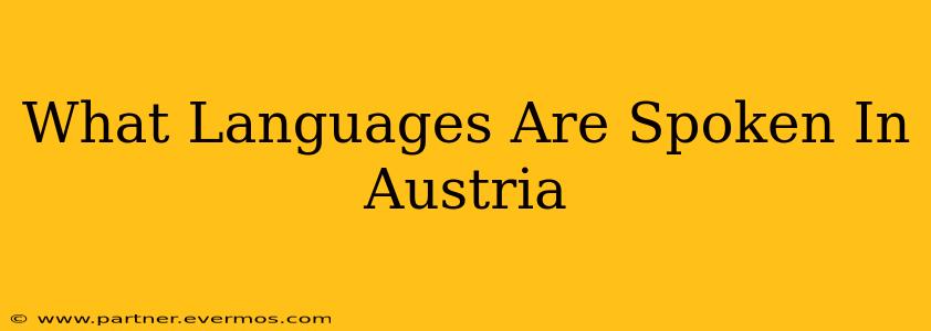 What Languages Are Spoken In Austria