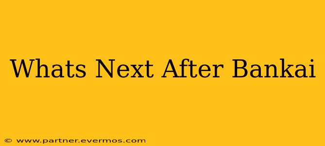 Whats Next After Bankai