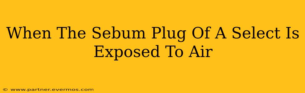 When The Sebum Plug Of A Select Is Exposed To Air