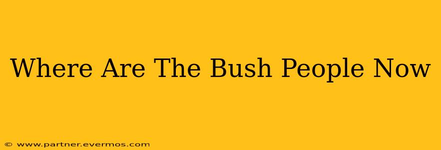 Where Are The Bush People Now