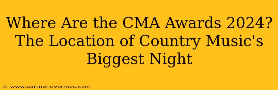 Where Are the CMA Awards 2024? The Location of Country Music's Biggest Night