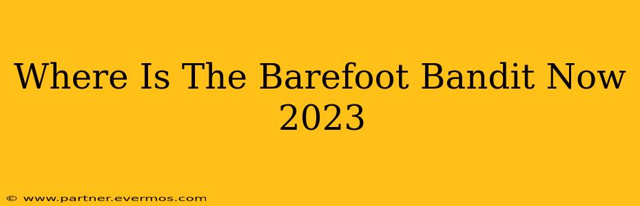 Where Is The Barefoot Bandit Now 2023