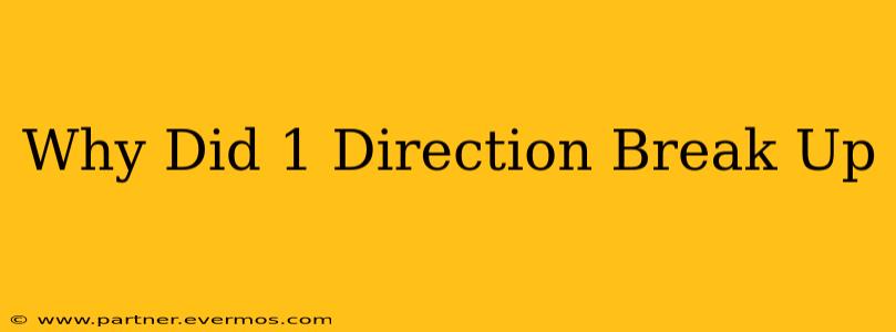 Why Did 1 Direction Break Up