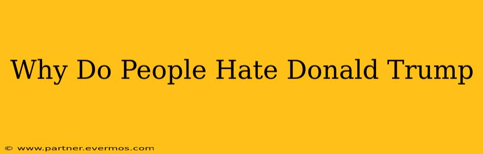 Why Do People Hate Donald Trump
