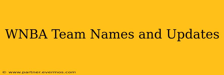 WNBA Team Names and Updates