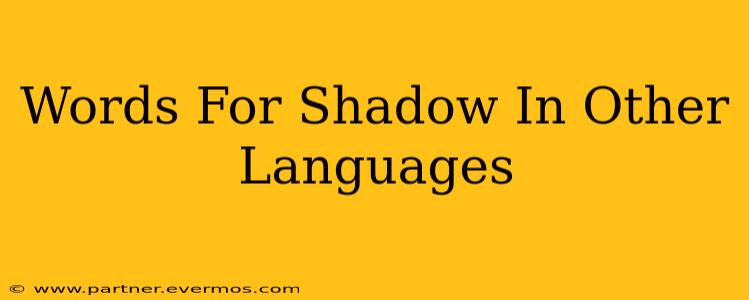 Words For Shadow In Other Languages