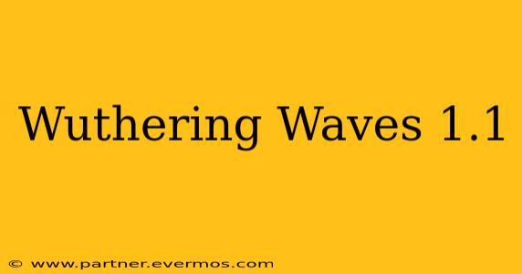 Wuthering Waves 1.1