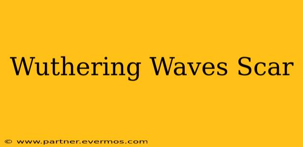 Wuthering Waves Scar