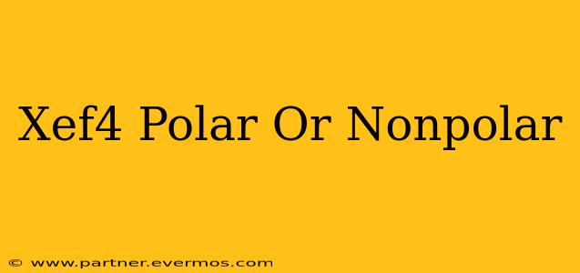 Xef4 Polar Or Nonpolar