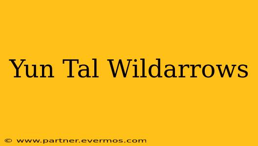 Yun Tal Wildarrows